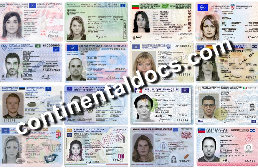 fake EU ID card